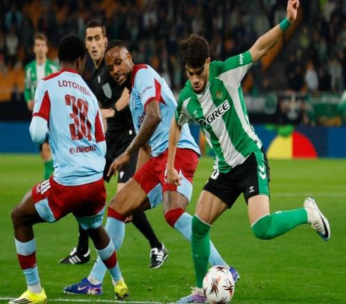 杜塞尔多夫,迎战帕德博,帕德博恩能,B体育,B体育app,B体育官网,B体育下载,B体育入口