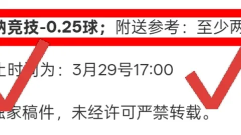 本菲卡VS布拉加33轮对决 葡超专家欧冠席位推荐分析